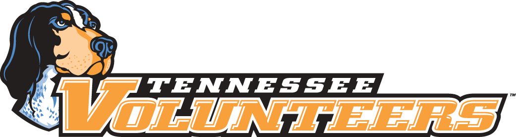 Tennessee Volunteers 2005-Pres Wordmark Logo v4 iron on transfers for clothing